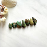 Small Mixed Mixed Mixed Turquoise, Set of 7 Background