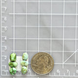 Small Lime Green Mixed Sonoran Gold Turquoise, Set of 6 Dimensions