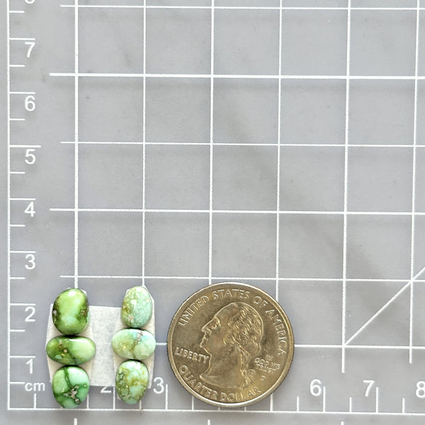 Small Lime Green Mixed Sonoran Gold Turquoise, Set of 6 Dimensions