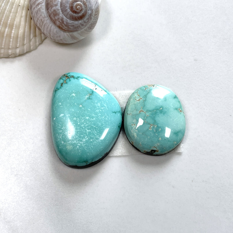 Medium Sky Blue Freeform Tyrone Turquoise, Set of 2 Background