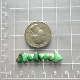 Small Mint Green Mixed Crescent Lake Variscite, Set of 8 Dimensions