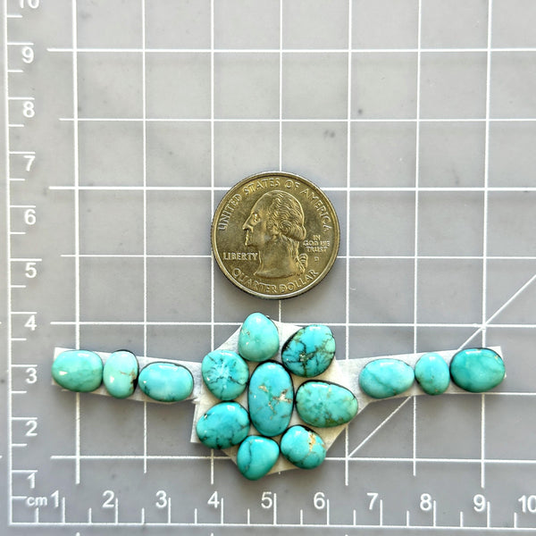 Small Sky Blue Mixed Lone Mountain Turquoise, Set of 14 Dimensions