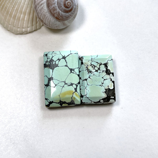 Medium Faint Green Bar Wild Horse Turquoise, Set of 2 Background