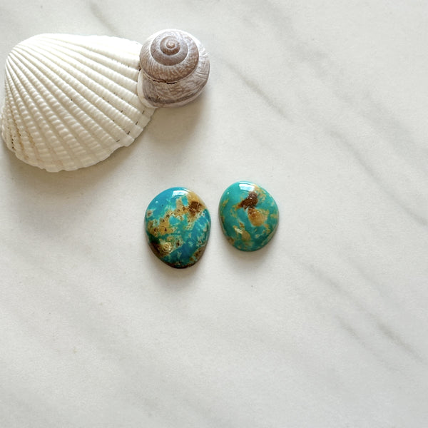 Medium Sky Blue Oval Royston Turquoise, Set of 2 Background