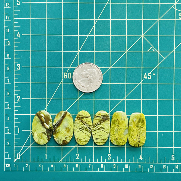 Large Lime Green Mixed Green Opal, Set of 6 Dimensions