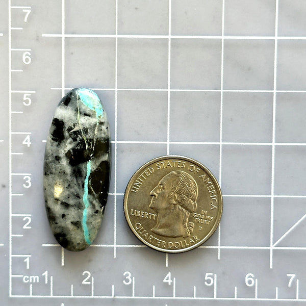 Large Sky Blue Surfboard Blue Moon Turquoise Dimensions