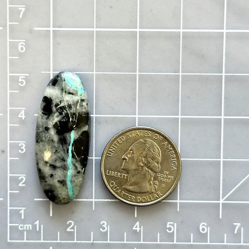 Large Sky Blue Surfboard Blue Moon Turquoise Dimensions