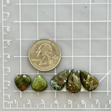 Small Bamboo Green Mixed Bamboo Mountain Turquoise, Set of 5 Dimensions