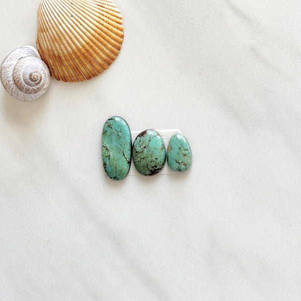 Medium Mint Green Mixed Crescent Lake Variscite, Set of 3 Background