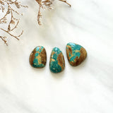 Medium Sea Green Freeform Royston Turquoise, Set of 3 Background
