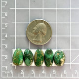 Small Deep Green Mixed Broken Arrow Variscite, Set of 5 Dimensions