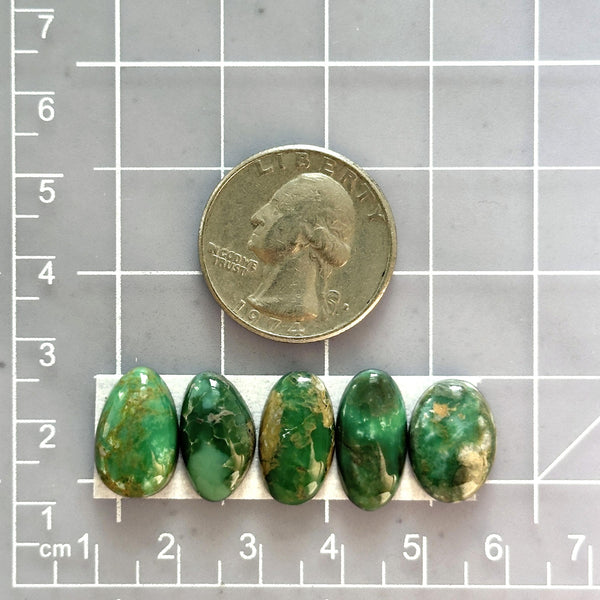 Small Deep Green Mixed Broken Arrow Variscite, Set of 5 Dimensions