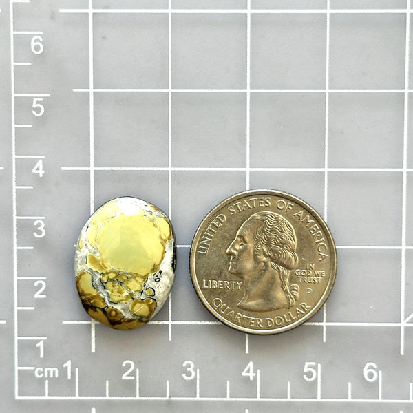 Large Yellow Freeform Treasure Mountain Turquoise Dimensions