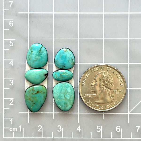 Small Sky Blue Freeform Kingman Turquoise, Set of 6 Dimensions