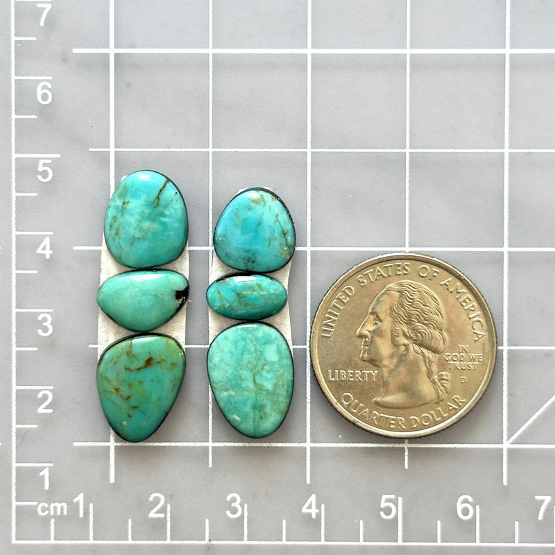 Small Sky Blue Freeform Kingman Turquoise, Set of 6 Dimensions