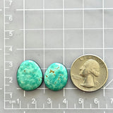 Medium Deep Green Freeform Tyrone Turquoise, Set of 2 Dimensions