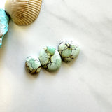 Small Faint Green Mixed Crescent Lake Variscite, Set of 3 Background
