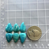 Small Sky Blue Teardrop Sleeping Beauty Turquoise, Set of 6 Dimensions