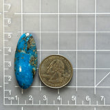 Large Ocean Blue Surfboard Ithaca Peak Turquoise Dimensions