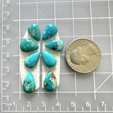 Small Sky Blue Teardrop Royston Turquoise, Set of 8 Dimensions