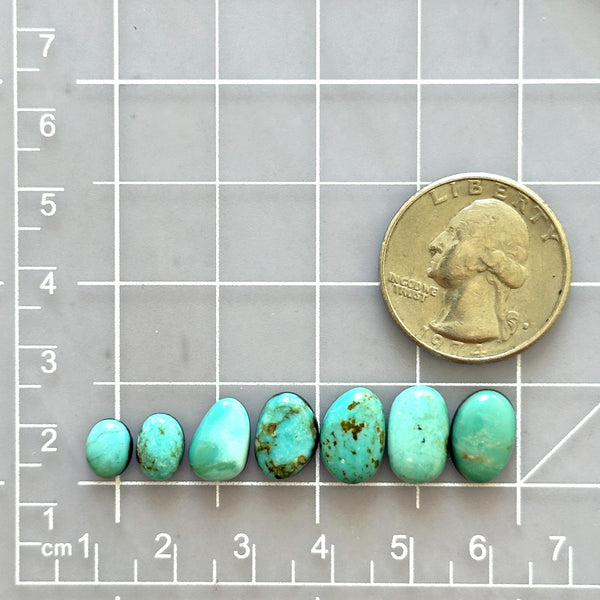Small Sky Blue Freeform Kingman Turquoise, Set of 7 Dimensions