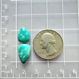 Small Ocean Blue Teardrop Fox Turquoise, Set of 2 Dimensions