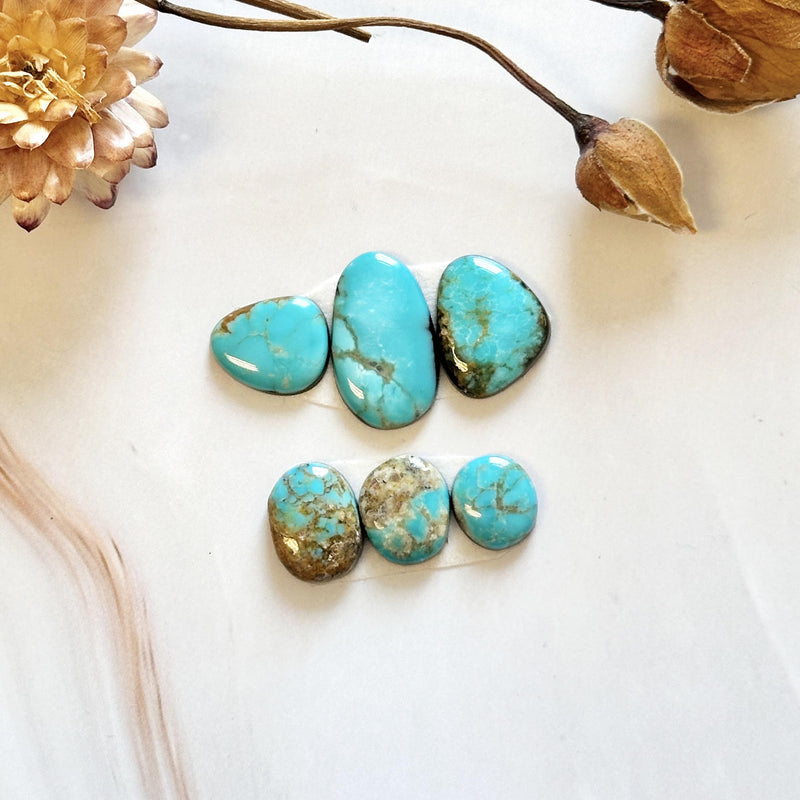 Small Sky Blue Freeform Pilot Mountain Turquoise, Set of 6 Background