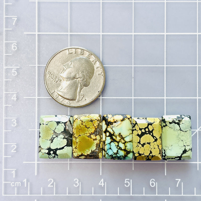 Medium Mixed Bar Mixed Turquoise, Set of 5 Dimensions