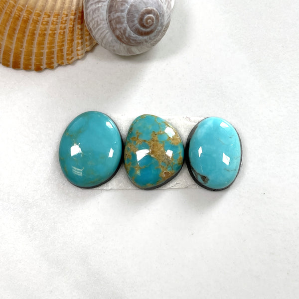 Medium Sky Blue Freeform Tyrone Turquoise, Set of 3 Background