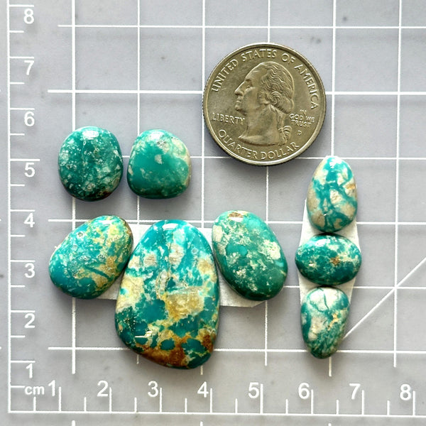 Small Ocean Blue Mixed Fox Turquoise, Set of 8 Dimensions