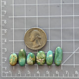 Small Sea Green Oval Royston Turquoise, Set of 6 Dimensions