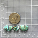 Small Mint Green Mixed Namtso Lake Turquoise, Set of 6 Dimensions