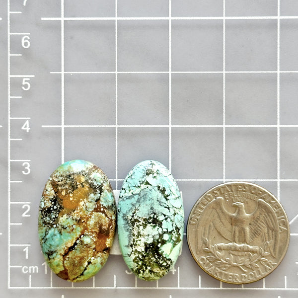 Large Sky Blue Oval Wild Horse Turquoise, Set of 2 Dimensions