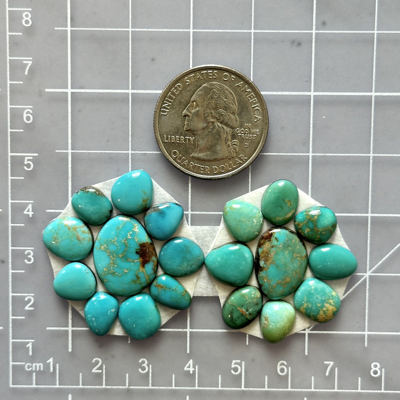 Small Mixed Mixed Royston Turquoise, Set of 19 Dimensions