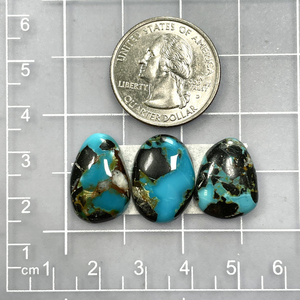 Medium Ocean Blue Freeform Blue Moon Turquoise, Set of 3 Dimensions