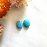 Small Sky Blue Freeform Kingman Turquoise, Set of 2 Background