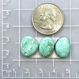 Small Mint Green Freeform Carico Lake Turquoise, Set of 3 Dimensions