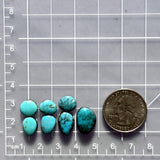 Small Sky Blue Mixed Kingman Turquoise, Set of 7 Dimensions