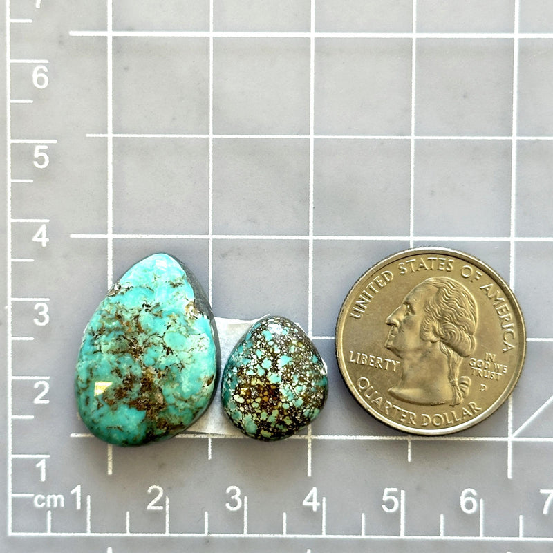 Large Sky Blue Freeform Wild Horse Turquoise, Set of 2 Dimensions