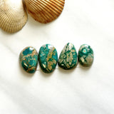 Medium Deep Green Mixed Fox Turquoise, Set of 4 Background