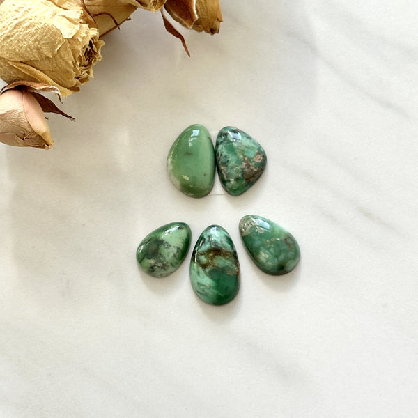 Small Sea Green Mixed Broken Arrow Variscite, Set of 5 Background