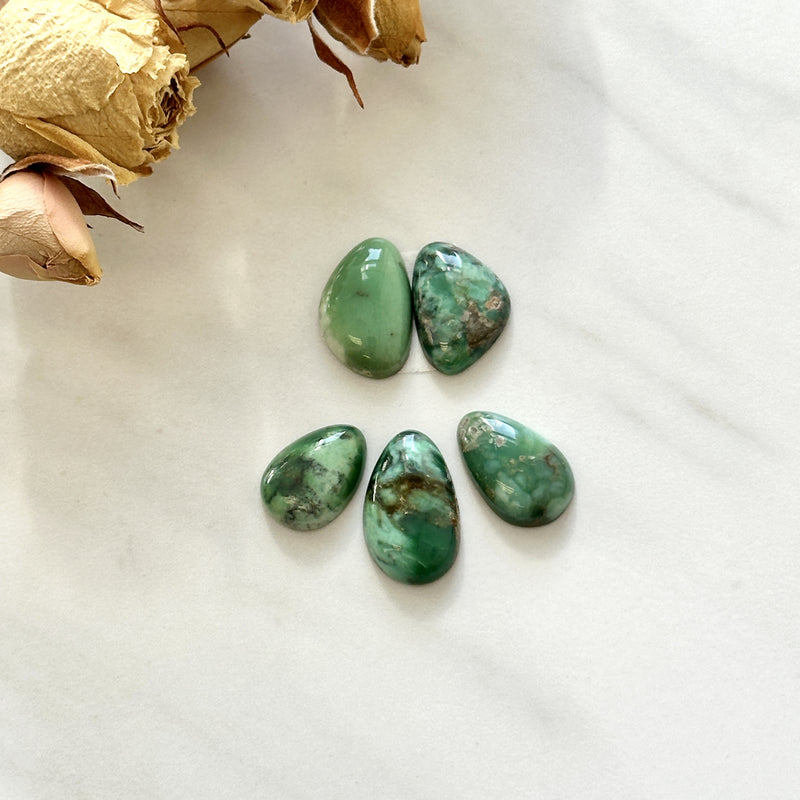 Small Sea Green Mixed Broken Arrow Variscite, Set of 5 Background