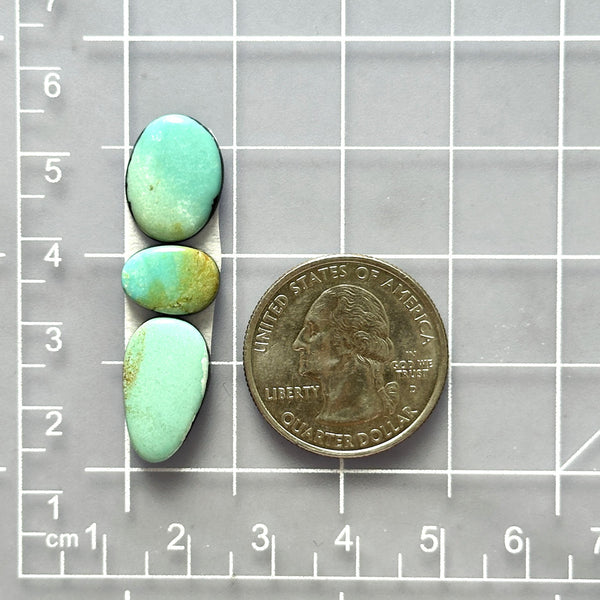Small Mint Green Freeform Pilot Mountain Turquoise, Set of 3 Dimensions