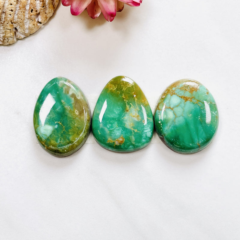 Medium Sea Green Mixed Crescent Lake Variscite, Set of 3 Background