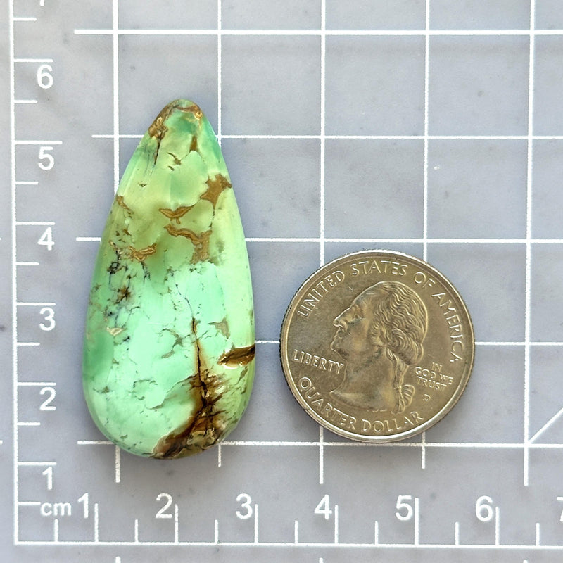 Large Lime Green Teardrop Crescent Lake Variscite Dimensions