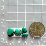 Small Bamboo Green Freeform Bamboo Mountain Turquoise, Set of 4 Dimensions