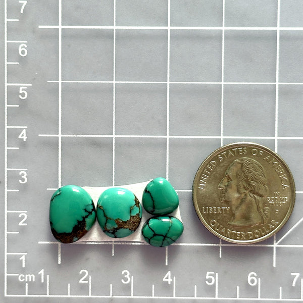 Small Bamboo Green Freeform Bamboo Mountain Turquoise, Set of 4 Dimensions