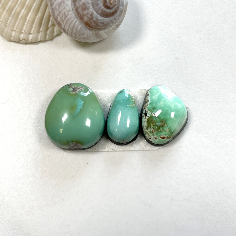 Small Mint Green Freeform Carico Lake Turquoise, Set of 3 Background