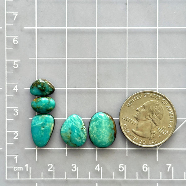 Small Sky Blue Freeform Kingman Turquoise, Set of 5 Dimensions