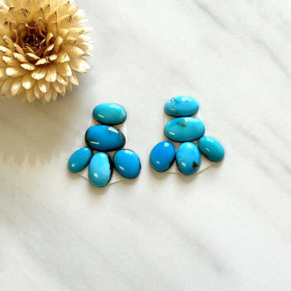 Small Sky Blue Mixed Sleeping Beauty Turquoise, Set of 10 Background